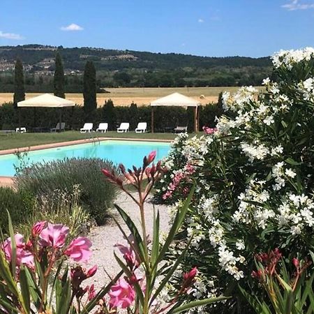 Cozy Home In Countryside Asciano Siena -Renovated! Exterior foto