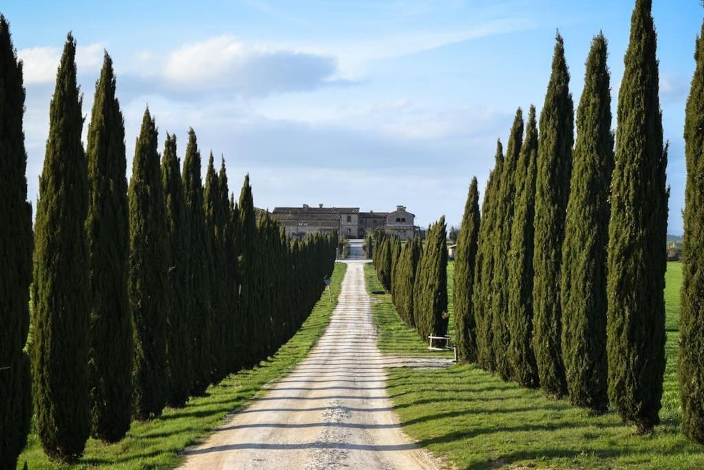 Cozy Home In Countryside Asciano Siena -Renovated! Exterior foto